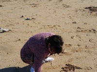 Fun on the beach